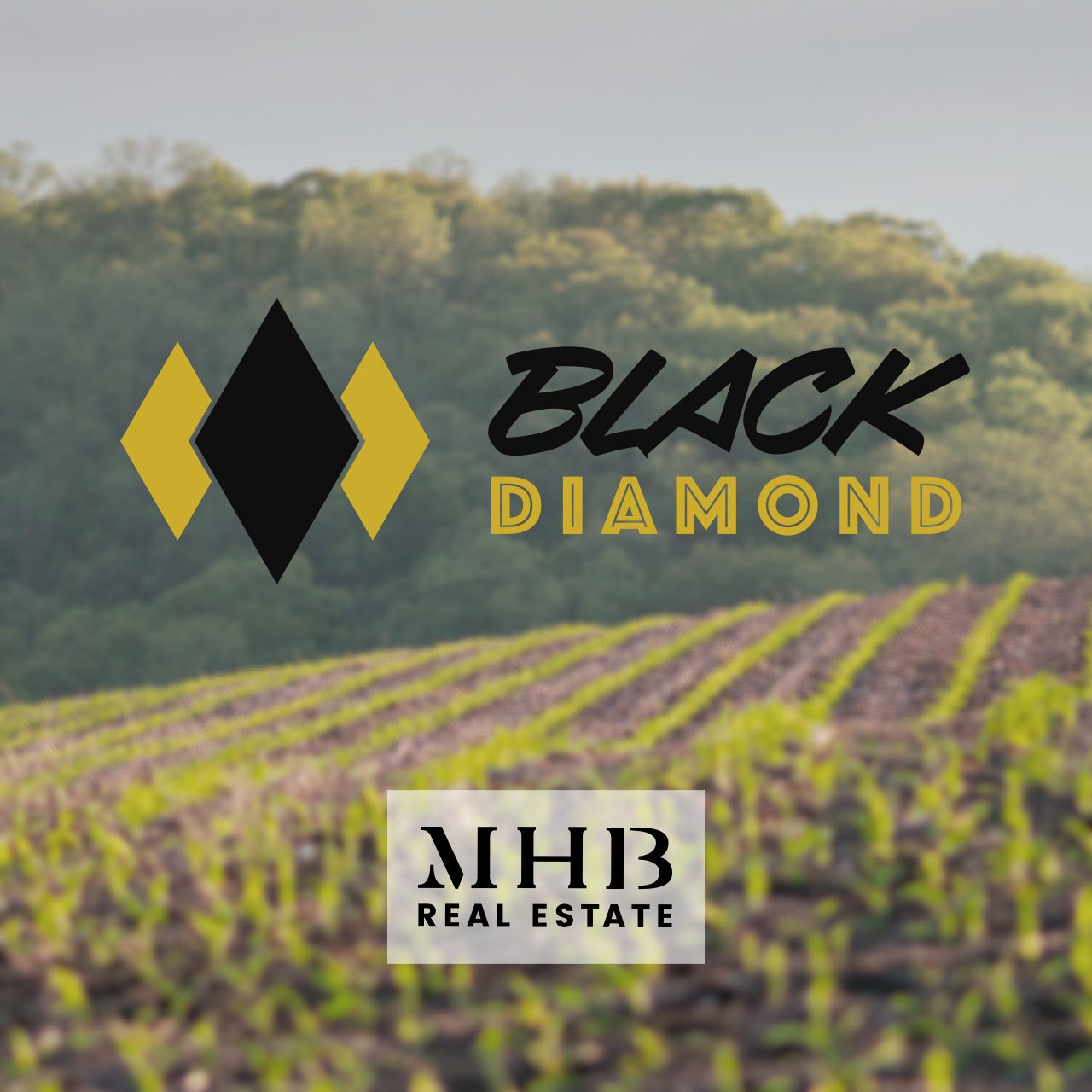 Black Diamond - MHB Real Estate